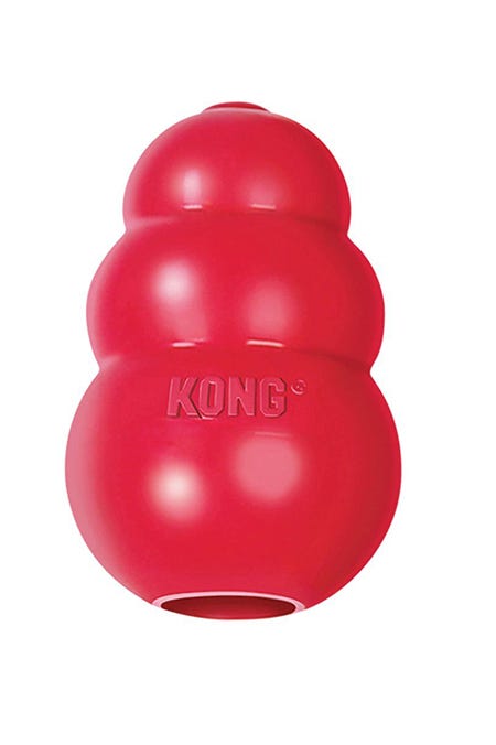 most indestructible dog toy most indestructible dog toy